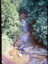 a view of Nickajack from the railroad trestle that is now part of the Silver Comet
   Trail