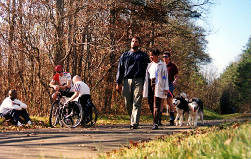 Silver Comet Trail users