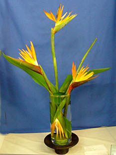 Blue ribbon winner 2005 North Georgia State Fair