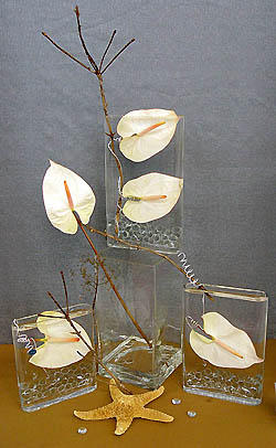 2nd Place North Georgia State Fair 2005